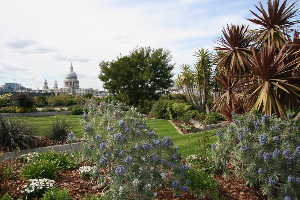 Roof top garden