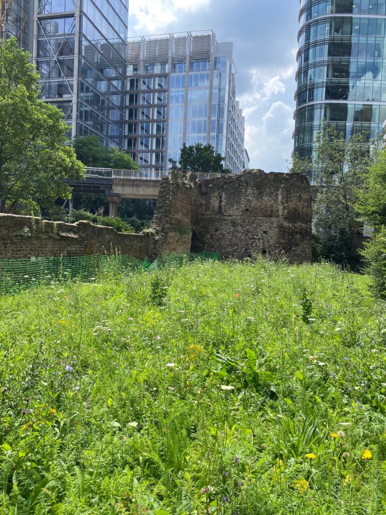 City of London Wild Flower Meadow Sherry Watson