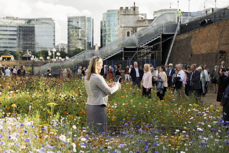 Person standing in a field of wild flowers at Superbloom Tower of London