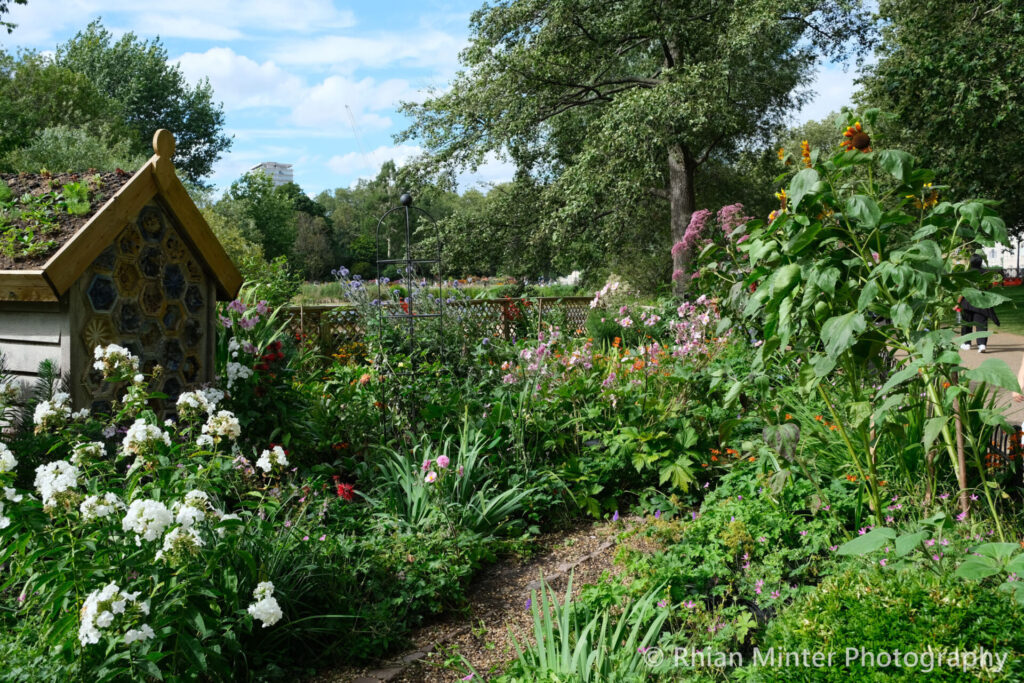Gardens with wild flowers