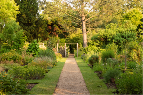Chelsea Physic Garden