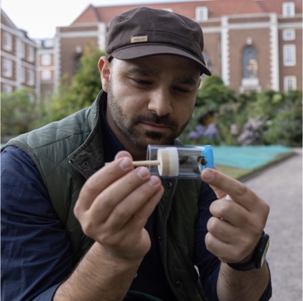 Pollinator being examined by researcher