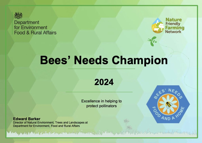 Bees Needs Champions 2024