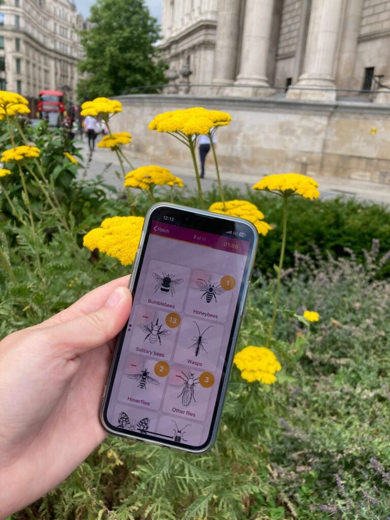 Annual Pollinator Count
