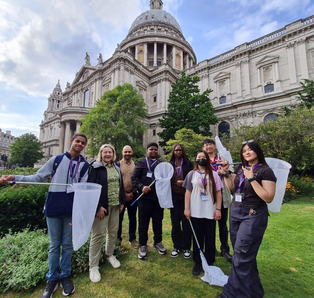 Corporate Pollinator Monitoring at St Paul's