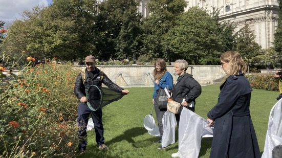 Corporate volunteers finding and identifying pollinators in St Paul's Festival Gardens
