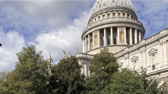 City Briefings view of St Paul's Cathedral