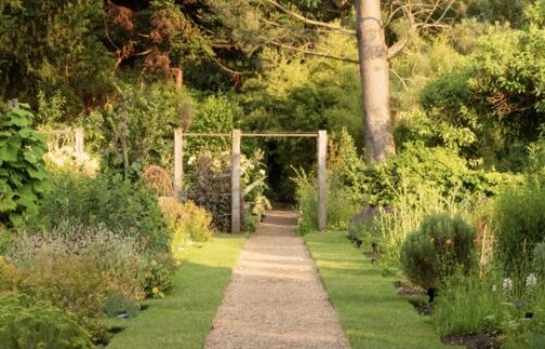 Chelsea Physic Garden Featured Image