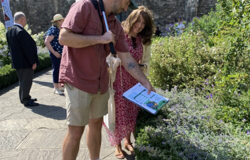 Annual Pollinator Count 2026