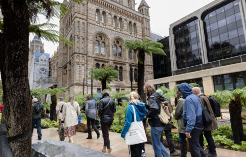 Natural History Museum Garden Visit