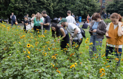 London, UK. 17th July 2025. Londoners gather at St Pauls to take part in the second annual pollinator count organised by the charity Pollinating London Together. Participants observe and record bees, butterflies, beetles, and other pollinating insects to gather data on how pollinator populations are faring in the urban environment.