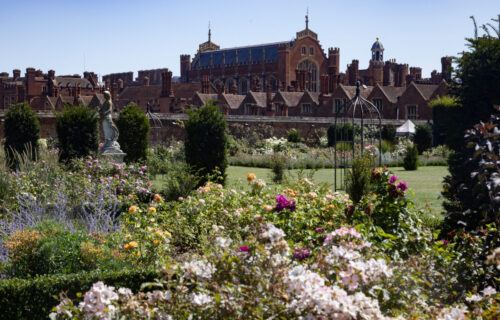 Hampton Court Palace Family Day Visit