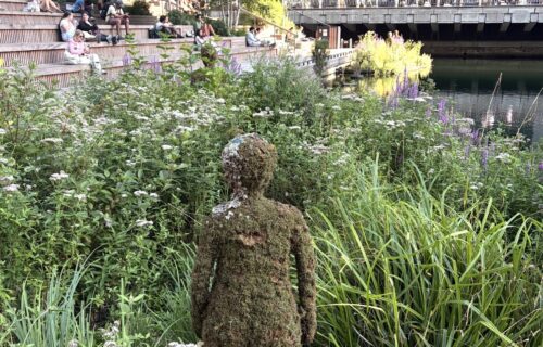 Exploring Nature in the Heart of Canary Wharf